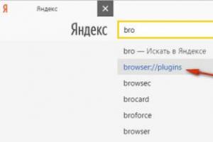 Paano ikonekta ang Adobe Flash plugin sa Google Chrome browser