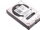 Which hard drive is better to choose?